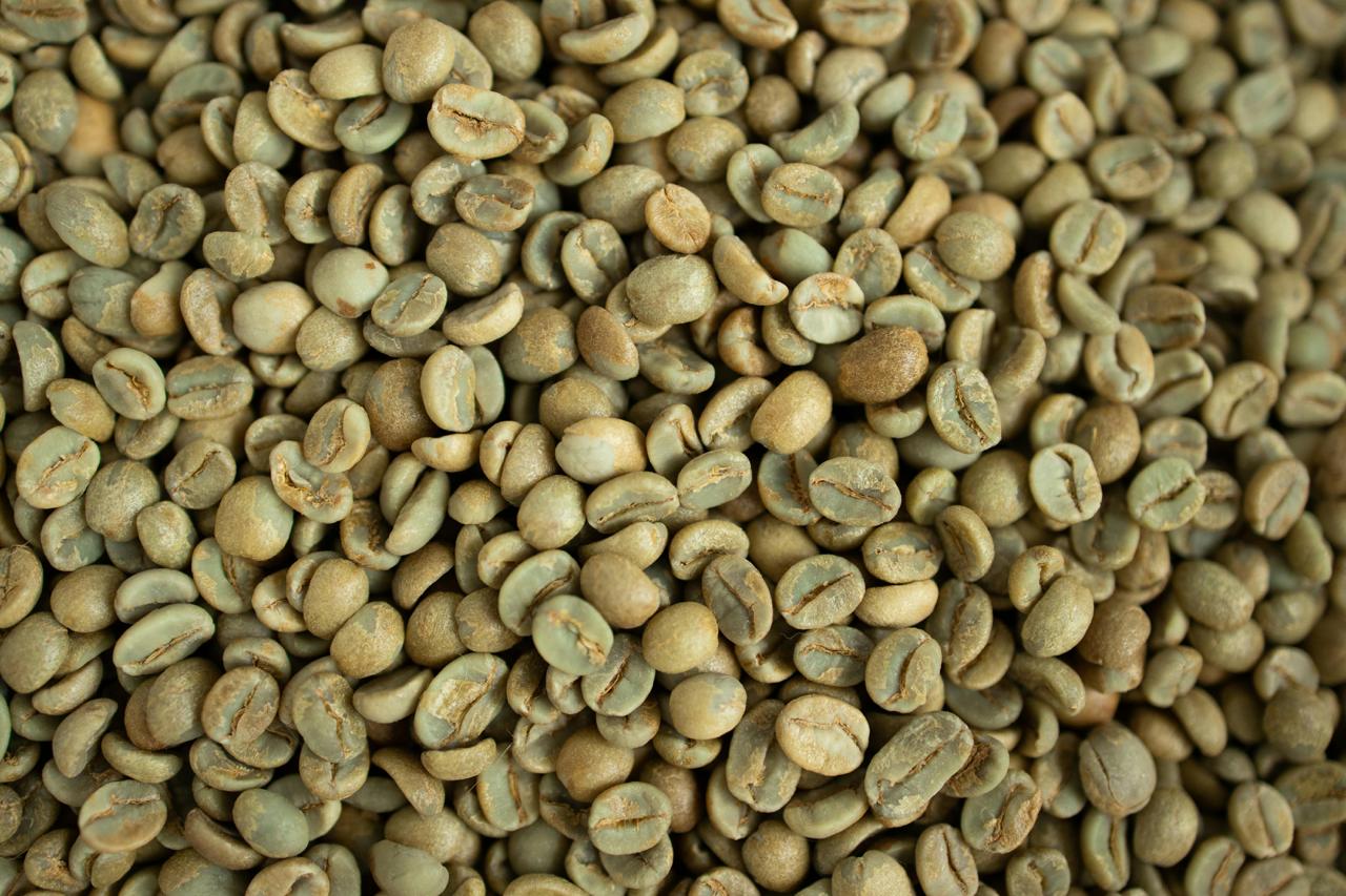 The Future of Coffee Sourcing: Why Traceability Matters More Than Ever